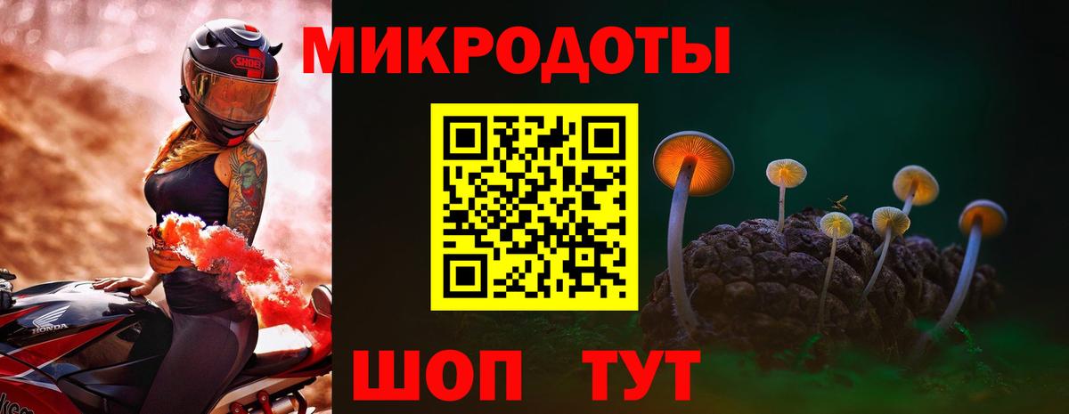 Галлюциногенные грибы GOLDEN TEACHER Мурманск