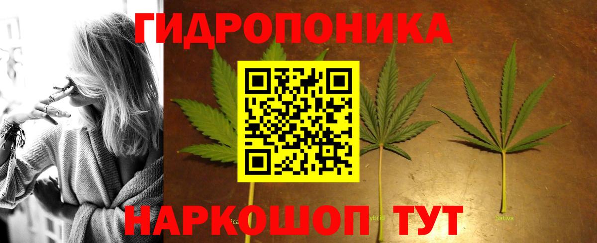 МАРИХУАНА гибрид Мурманск